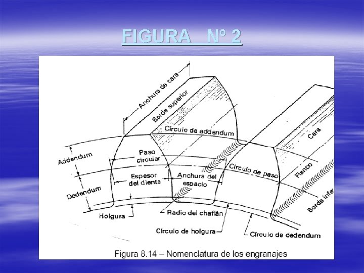 FIGURA Nº 2 