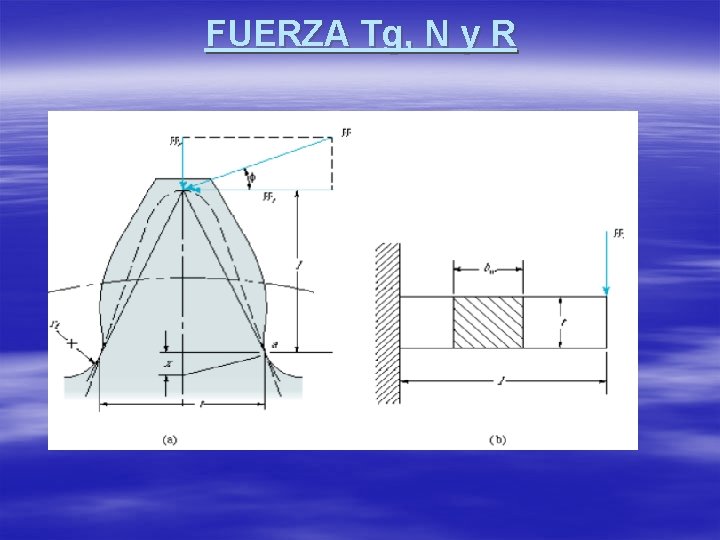 FUERZA Tg, N y R 