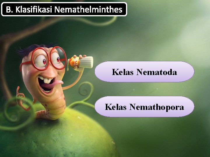 B. Klasifikasi Nemathelminthes Kelas Nematoda Kelas Nemathopora 