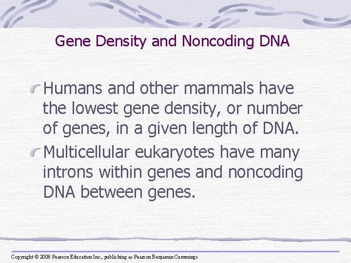 Gene Density and Noncoding DNA Humans and other mammals have the lowest gene density,