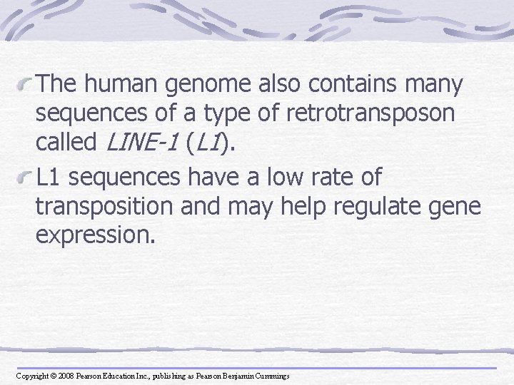 The human genome also contains many sequences of a type of retrotransposon called LINE-1
