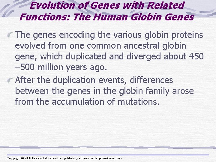 Evolution of Genes with Related Functions: The Human Globin Genes The genes encoding the