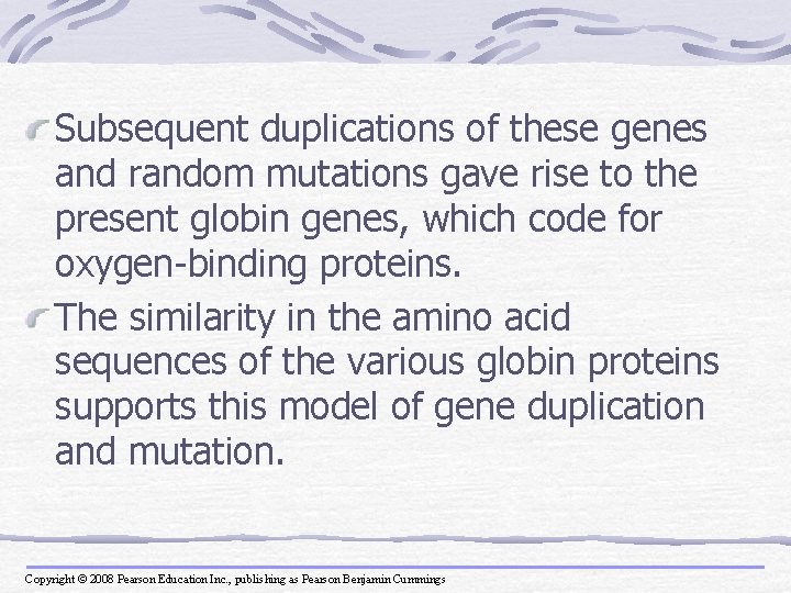Subsequent duplications of these genes and random mutations gave rise to the present globin