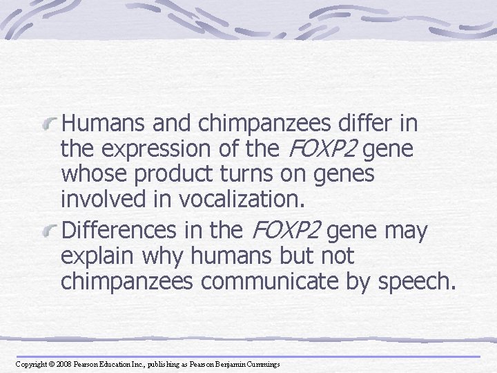 Humans and chimpanzees differ in the expression of the FOXP 2 gene whose product