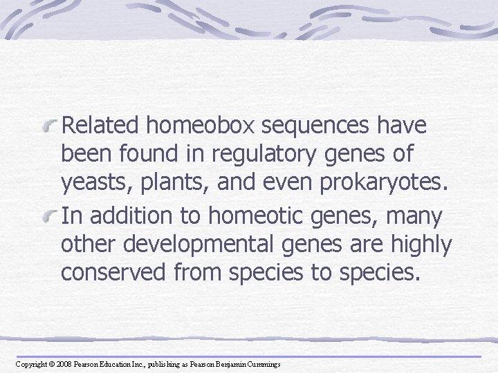 Related homeobox sequences have been found in regulatory genes of yeasts, plants, and even