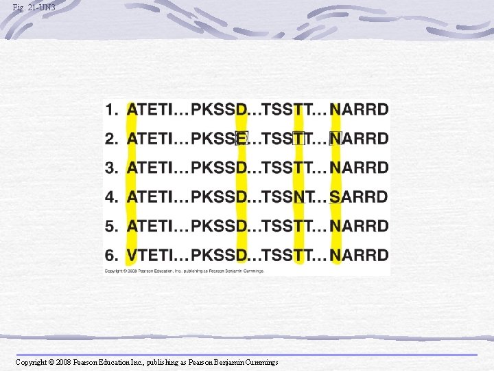 Fig. 21 -UN 3 Copyright © 2008 Pearson Education Inc. , publishing as Pearson