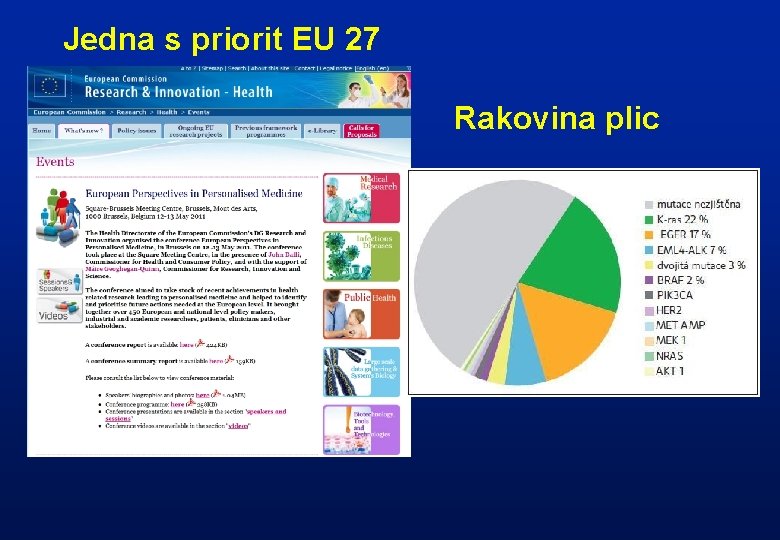 Jedna s priorit EU 27 Rakovina plic 