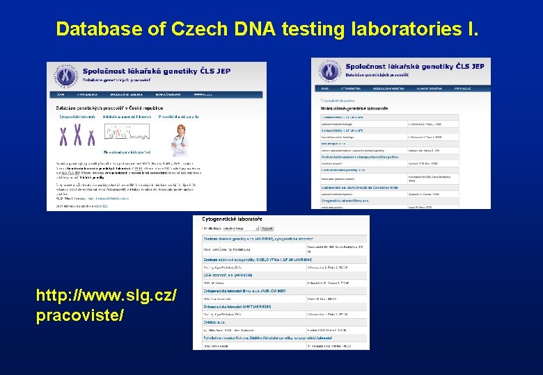 Database of Czech DNA testing laboratories I. http: //www. slg. cz/ pracoviste/ 