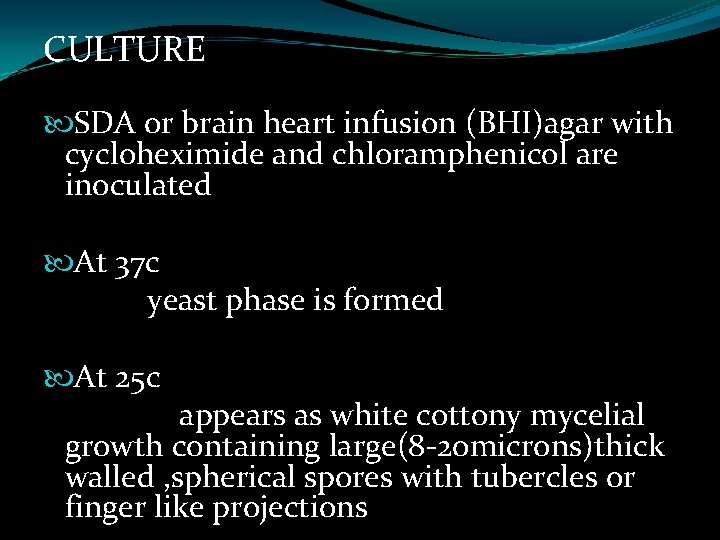 CULTURE SDA or brain heart infusion (BHI)agar with cycloheximide and chloramphenicol are inoculated At