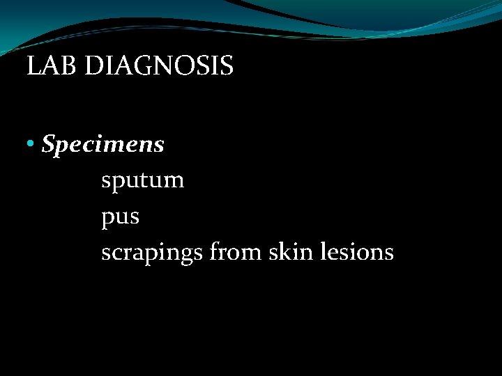 LAB DIAGNOSIS • Specimens sputum pus scrapings from skin lesions 