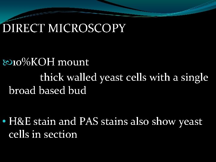 DIRECT MICROSCOPY 10%KOH mount thick walled yeast cells with a single broad based bud