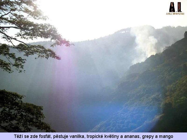 Těží se zde fosfát, pěstuje vanilka, tropické květiny a ananas, grepy a mango 