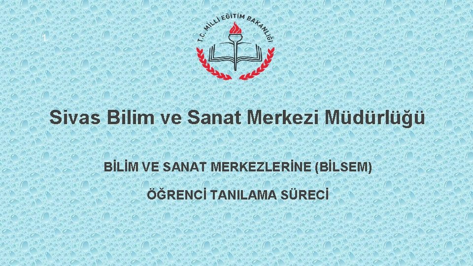 1 Sivas Bilim ve Sanat Merkezi Müdürlüğü BİLİM VE SANAT MERKEZLERİNE (BİLSEM) ÖĞRENCİ TANILAMA