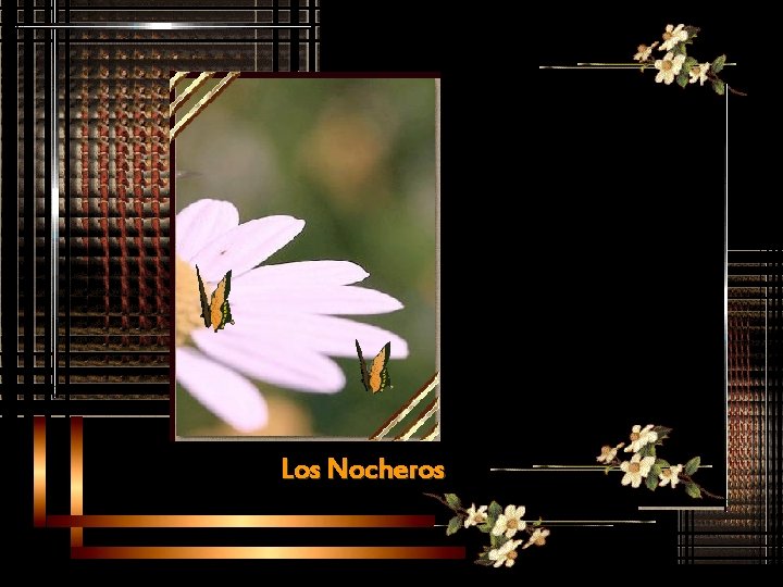 Yo que voy a hacer si muero de amor por ti ya nada es