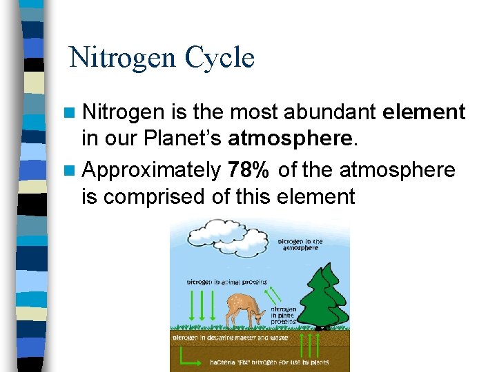 Nitrogen Cycle n Nitrogen is the most abundant element in our Planet’s atmosphere. n