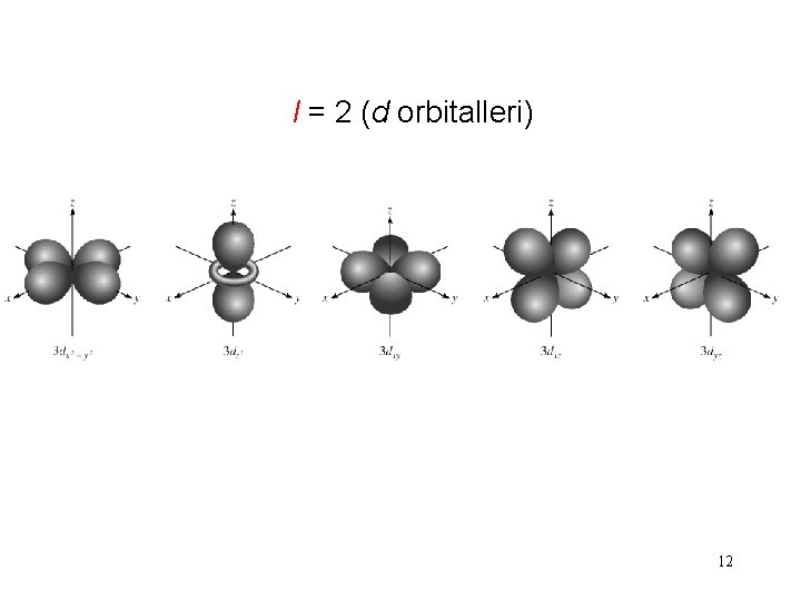 l = 2 (d orbitalleri) 12 