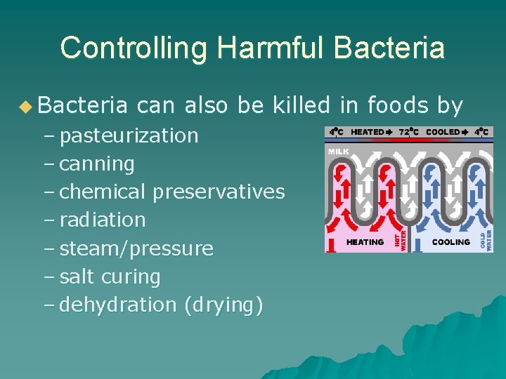 Controlling Harmful Bacteria u Bacteria can also be killed in foods by – pasteurization