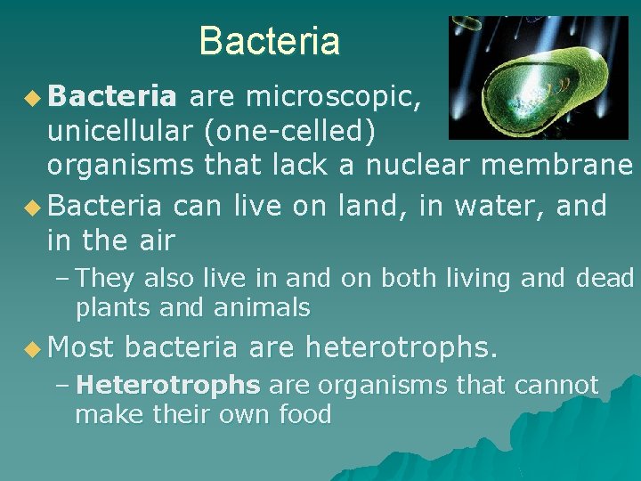 Bacteria u Bacteria are microscopic, unicellular (one-celled) organisms that lack a nuclear membrane u