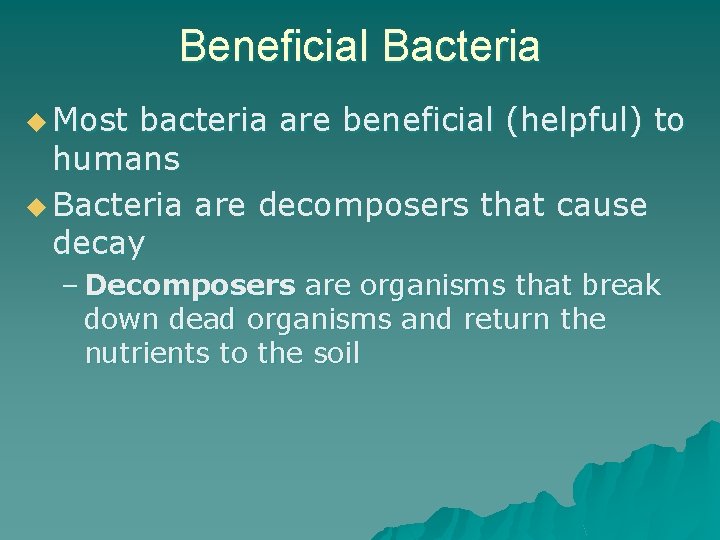 Beneficial Bacteria u Most bacteria are beneficial (helpful) to humans u Bacteria are decomposers