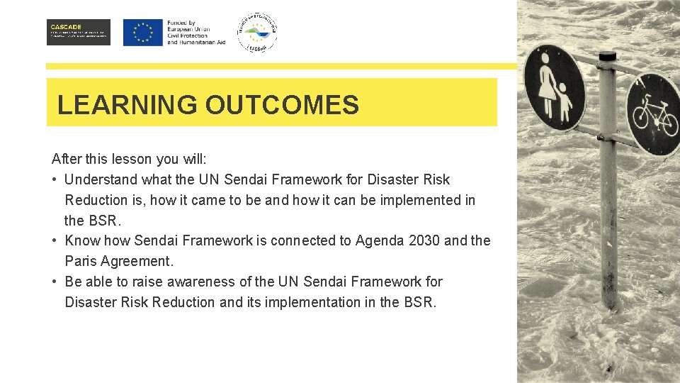 LEARNING OUTCOMES After this lesson you will: • Understand what the UN Sendai Framework