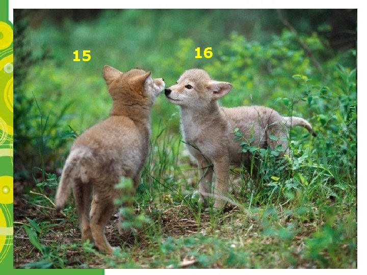 15 16 Powerpoint Templates Page 22 