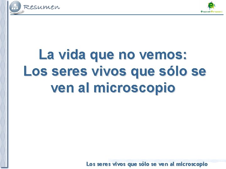 La vida que no vemos: Los seres vivos que sólo se ven al microscopio