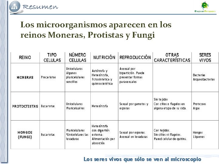 Los microorganismos aparecen en los reinos Moneras, Protistas y Fungi Los seres vivos que