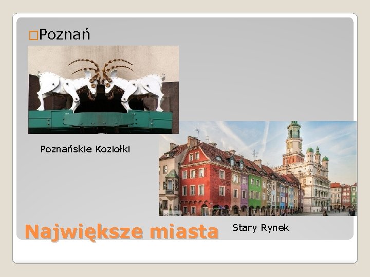 �Poznańskie Koziołki Największe miasta Stary Rynek 