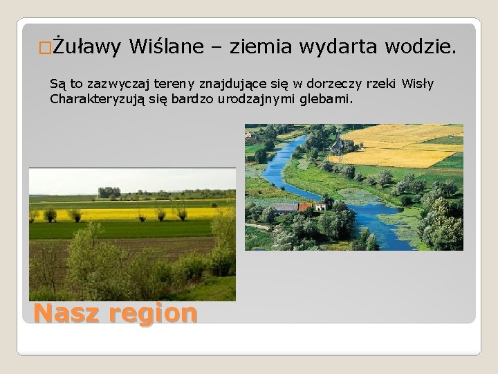 �Żuławy Wiślane – ziemia wydarta wodzie. Są to zazwyczaj tereny znajdujące się w dorzeczy