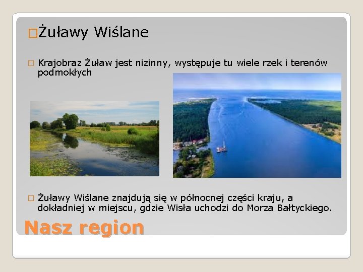 �Żuławy Wiślane � Krajobraz Żuław jest nizinny, występuje tu wiele rzek i terenów podmokłych