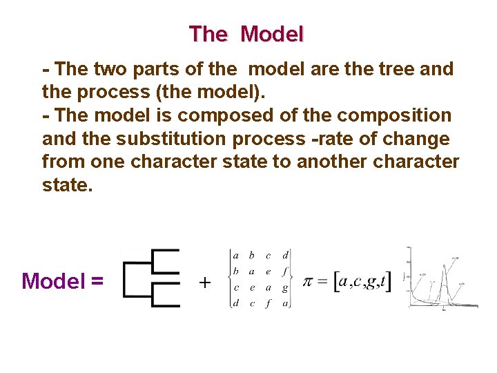 The Model - The two parts of the model are the tree and the