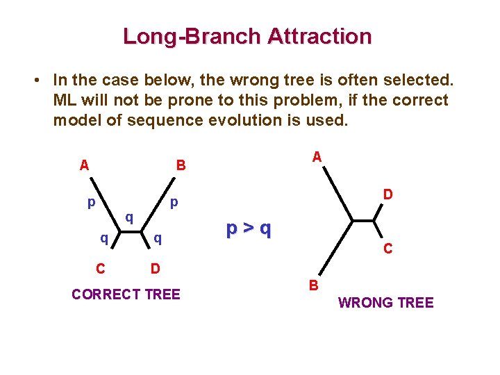 Long-Branch Attraction • In the case below, the wrong tree is often selected. ML