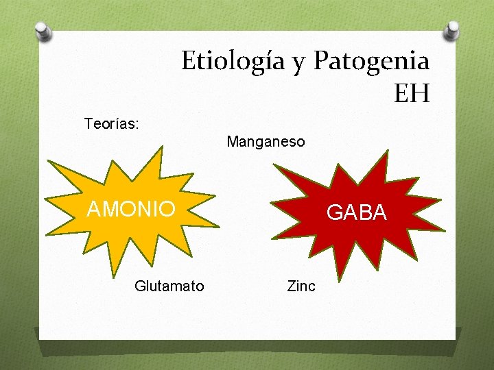 Etiología y Patogenia EH Teorías: Manganeso AMONIO Glutamato GABA Zinc 