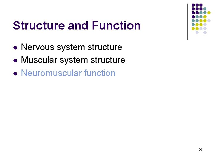 Structure and Function l l l Nervous system structure Muscular system structure Neuromuscular function