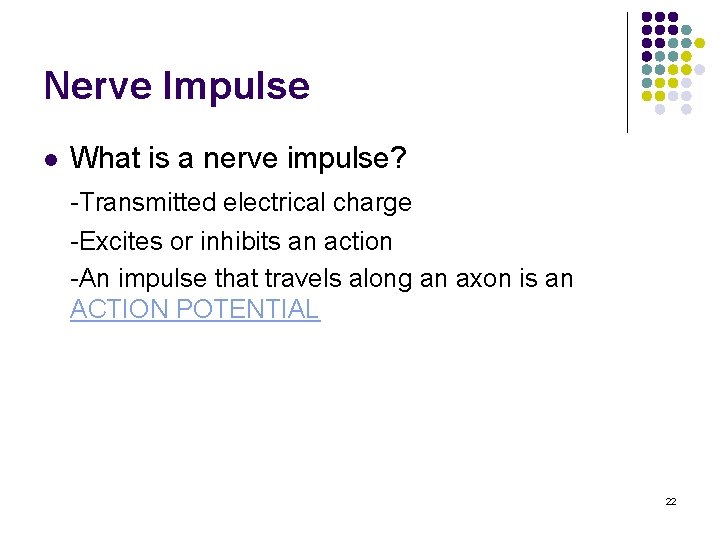 Nerve Impulse l What is a nerve impulse? -Transmitted electrical charge -Excites or inhibits