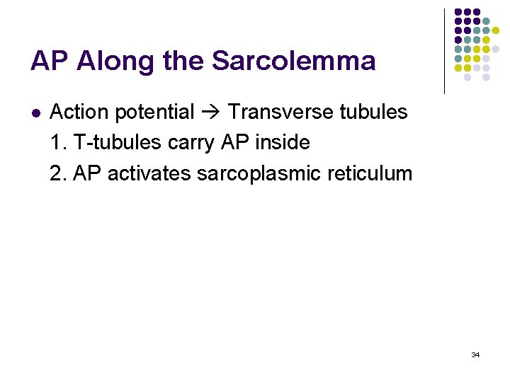 AP Along the Sarcolemma l Action potential Transverse tubules 1. T-tubules carry AP inside