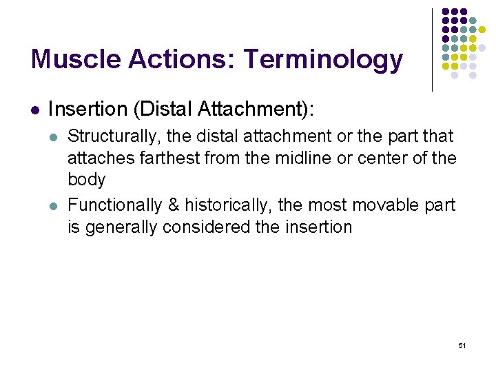 Muscle Actions: Terminology l Insertion (Distal Attachment): l l Structurally, the distal attachment or