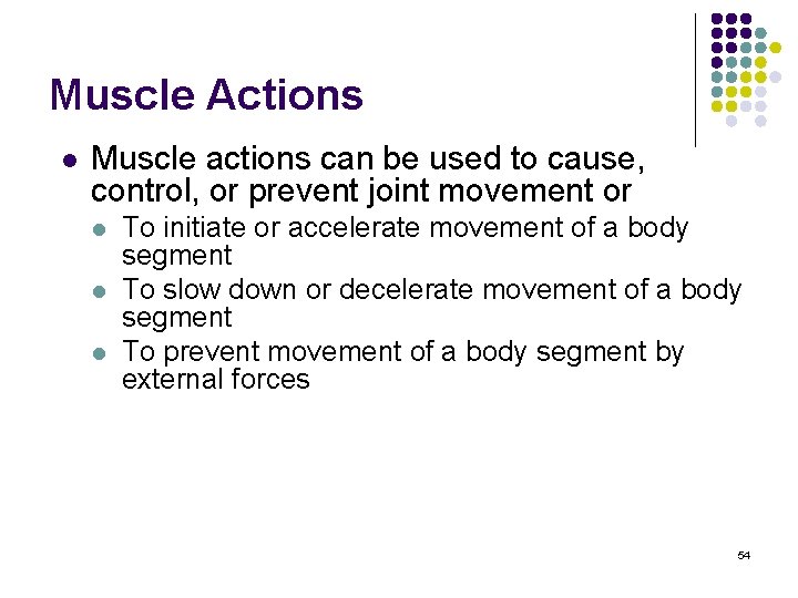 Muscle Actions l Muscle actions can be used to cause, control, or prevent joint