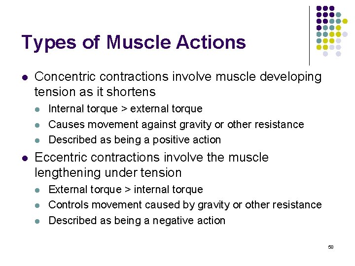 Types of Muscle Actions l Concentric contractions involve muscle developing tension as it shortens