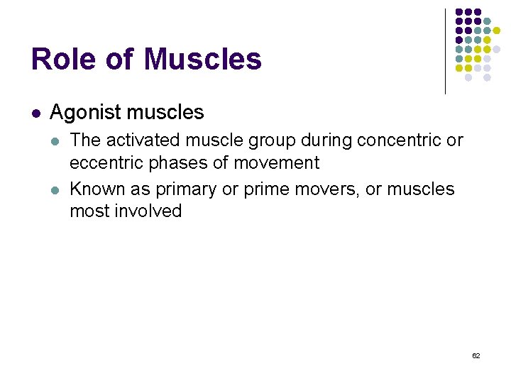 Role of Muscles l Agonist muscles l l The activated muscle group during concentric
