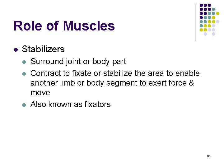 Role of Muscles l Stabilizers l l l Surround joint or body part Contract