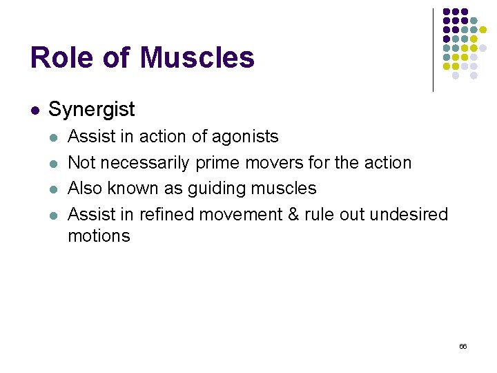 Role of Muscles l Synergist l l Assist in action of agonists Not necessarily