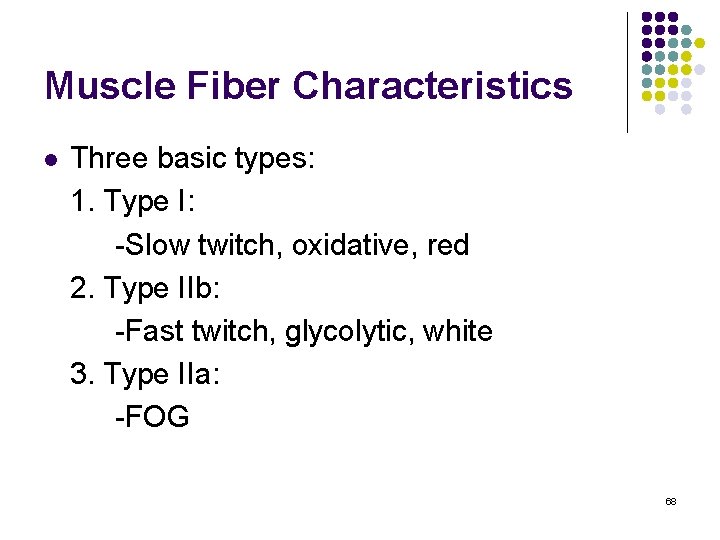Muscle Fiber Characteristics l Three basic types: 1. Type I: -Slow twitch, oxidative, red