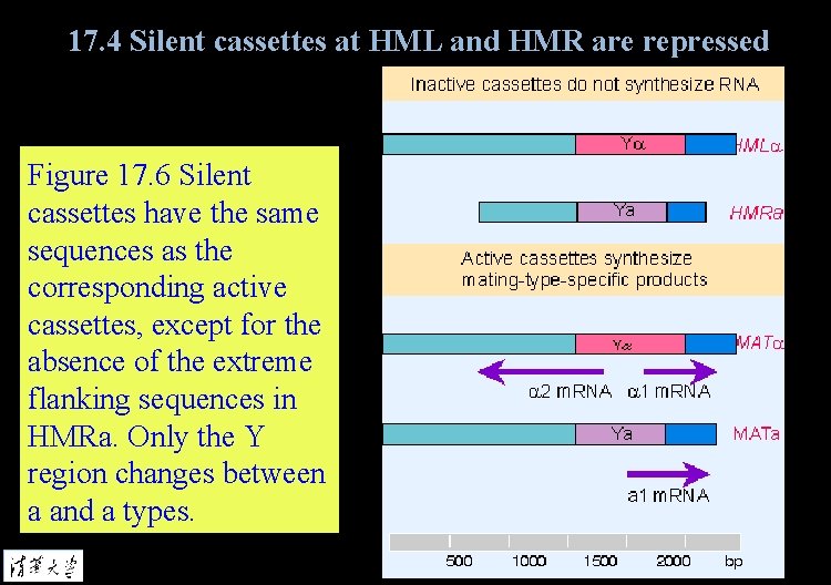 17. 4 Silent cassettes at HML and HMR are repressed Figure 17. 6 Silent