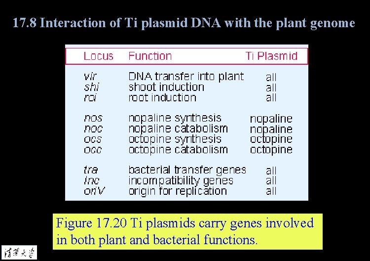17. 8 Interaction of Ti plasmid DNA with the plant genome Figure 17. 20