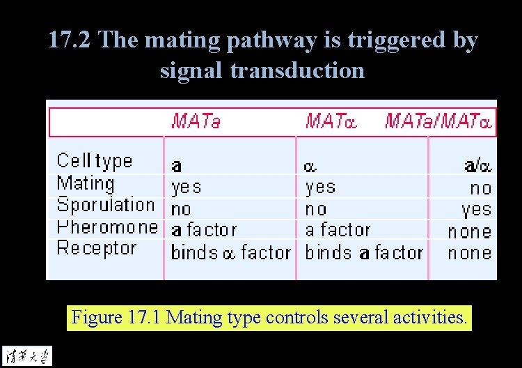 17. 2 The mating pathway is triggered by signal transduction Figure 17. 1 Mating