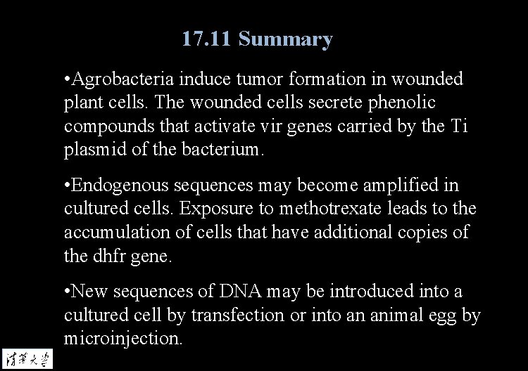 17. 11 Summary • Agrobacteria induce tumor formation in wounded plant cells. The wounded