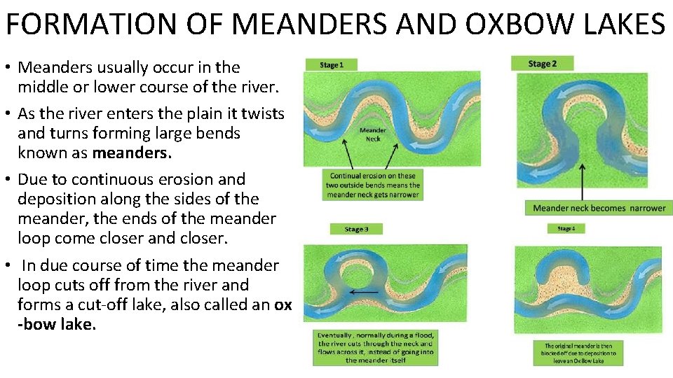 FORMATION OF MEANDERS AND OXBOW LAKES • Meanders usually occur in the middle or