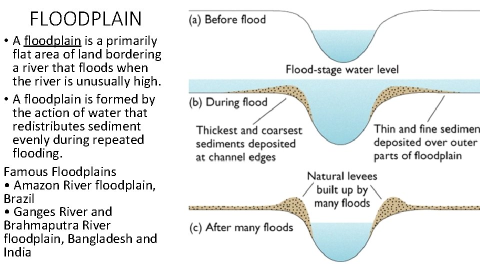 FLOODPLAIN • A floodplain is a primarily flat area of land bordering a river