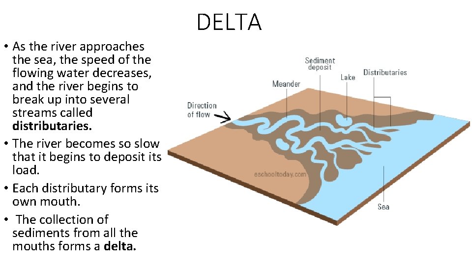 DELTA • As the river approaches the sea, the speed of the flowing water